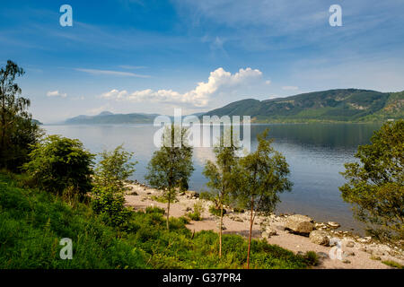 Mit Blick auf Loch Ness vom östlichen Ufer in der Nähe von Foyers Stockfoto