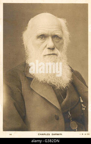 CHARLES DARWIN englischen Naturforscher 1809-1882 Stockfoto