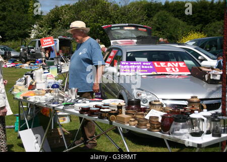 Rosudgeon, Cornwall, UK. 9. Juni 2016. Zeichen verlassen' ' EU auf das Auto von einem Flohmarkt-Verkäufer in Rosudgeon, Cornwall, England.  Bildnachweis: Jürgen Schwarz / Alamy Live News Stockfoto