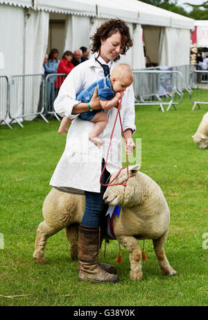 Ardingly, Sussex, Uk. 10. Juni 2016.  Gewinner im Abschnitt Supreme Champion Schafe auf den Süden von England Show hielt heute an der Ardingly Showground in Sussex. Das diesjährige Thema ist "Jahr der Schafe" und Tausende Besucher werden erwartet, in den drei Tagen Fotografie von Simon Dack/Alamy Live News/Alamy Live News Stockfoto