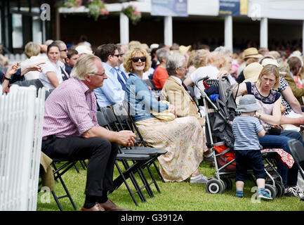 Ardingly, Sussex, UK. 10. Juni 2016. Menschenmassen erweisen sich im warmen Sonnenschein für den Süden von England zeigen Ardingly Showground in Sussex heute. Dieses Jahre Thema ist "Jahr der Schafe" und Tausende Besucher werden erwartet, in den drei Tagen Credit: Simon Dack/Alamy Live News Stockfoto