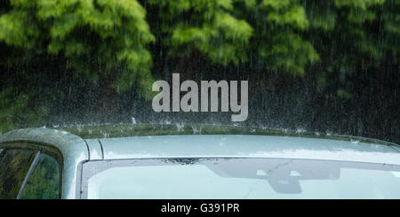 Sheffield, South Yorkshire, England. 10. Juni 2016. UK-Wetter: Sintflutartige Regenfälle spritzt aus einem Autodach in Sheffield South Yorkshire heftigen Regenfälle unterworfen ist. Bildnachweis: Graham Dunn/Alamy Live-Nachrichten Stockfoto