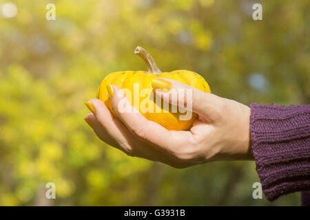 Weibliche Hand mit gelben Kürbis im freien Stockfoto