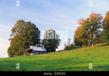 Alten Sugar Shack im Herbst in der Nähe von Peacham, Vermont, Vereinigte Staaten von Amerika Stockfoto