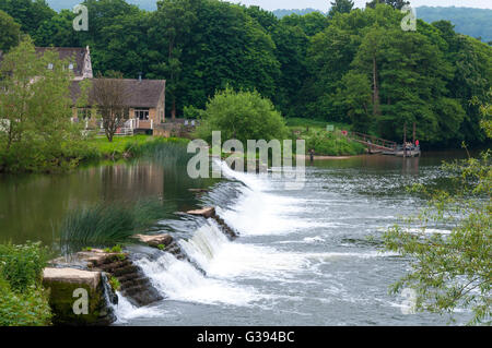 Bathampton Mill und Wehr am Fluss Avon, Bath, Somerset, England, UK Stockfoto