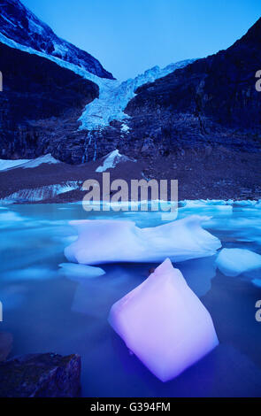 Eis, schwebend in Cavell Lake mit Winkel-Gletscher in den Hintergrund, Mount Edith Cavell, Jasper Nationalpark, Alberta, Kanada Stockfoto