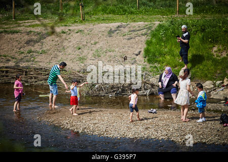 Rötlich Vale Stockport Landschaftspark, Paddeln, tauchen große Pferd abkühlenden Fluß Kinder River Tame Sommerspaß heißen Tag Stockfoto