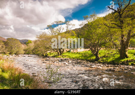 Der Fluss Abhainn eine ' Ghlinne Bhig liefen Gleann Beag in der Nähe von Glenelg in Lochalsh, eine Fläche von den schottischen Highlands. Stockfoto