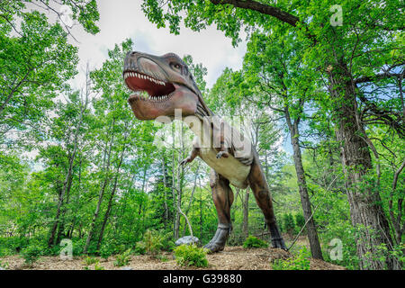 Tyrannosaurus Rex Dinosaurier lebendig, Assiniboine Park Zoo, Winnipeg, Manitoba, Kanada. Stockfoto