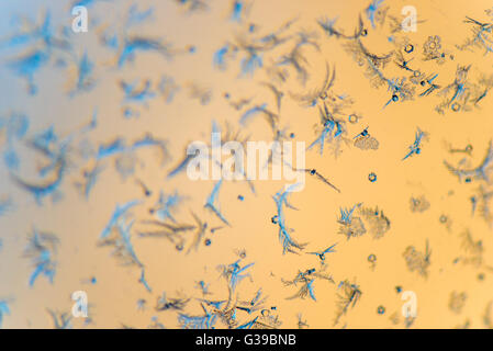 Close-up schön frostig Muster auf einem transparenten Glas Stockfoto