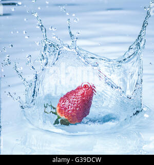 Erdbeere in Wasser plantschen. Stockfoto