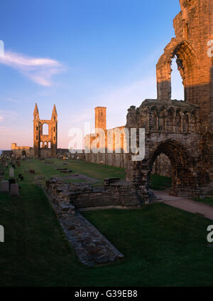 Blick vom W Ende der Kathedrale von St Andrews, Fife, entlang das Kirchenschiff (S-Wand steht noch) & Chor, Ostende mit Turm der St. Rule Kirche. Stockfoto