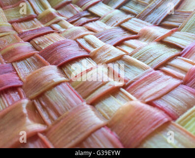 Gewebte Rhabarber Gitter Stockfoto
