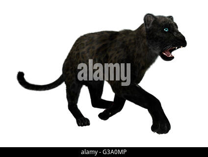 3D-Rendering einer Raubkatze schwarze Panther isoliert auf weißem Hintergrund Stockfoto