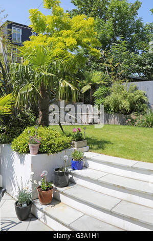 Terrasse und Treppe zu einem abgeschiedenen Londoner Garten hinter dem Haus mit großen, immergrünen architektonischen Pflanzen. Topfpflanzen auf Schritte. Stockfoto