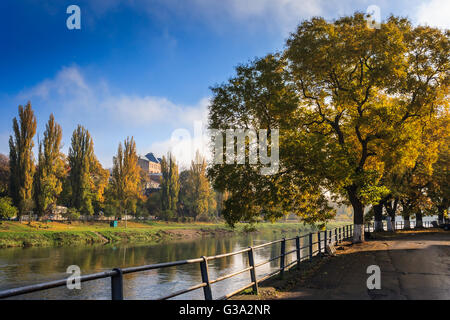 große gelbe Kronen der Bäume am Rand der Böschung im Frühherbst Stockfoto