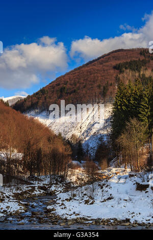 Winterlandschaft. Strom fließt zwischen den Bergen mit Schnee bedeckt. auf die Bergen wächst Wald von Laubbäumen und som Stockfoto