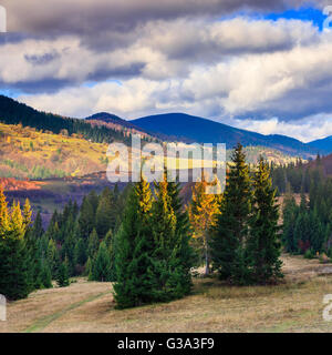 herbstliche Landschaft. Wald auf einem Hügel bedeckt mit roten und gelben Blättern. über die Berge gegen blauen Himmel Wolken Stockfoto