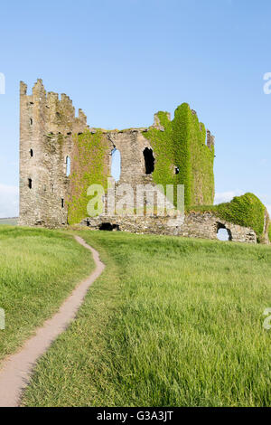 Ballycarberry Burg, in der Nähe von Cahersiveen, Ring of Kerry, Irland Stockfoto