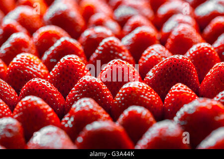 Hintergrund aus erntefrischen Erdbeeren direkt über Stockfoto