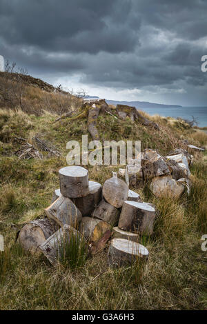 Ein Haufen von Schnittholz aus Baumstümpfe, Sandaig, Western Highlands, Schottland Stockfoto