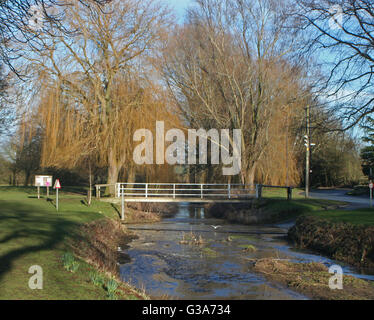 Willow Beck Brompton Northallerton Stockfoto