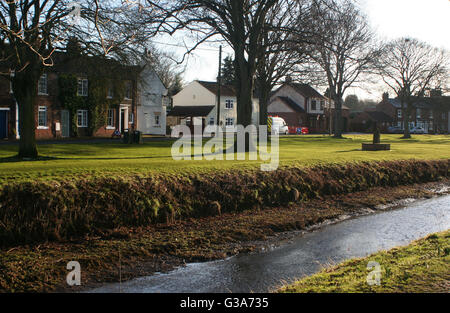 Willow Beck Brompton Northallerton Yorkshire Stockfoto