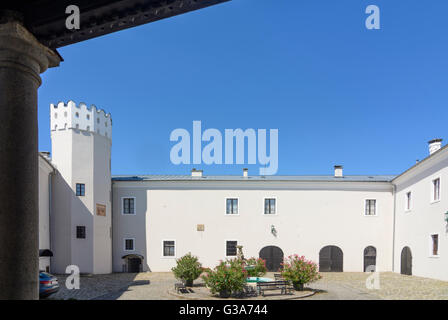 Schloss Ebelsberg, Österreich, Oberösterreich, Oberösterreich, Donau, Linz Stockfoto