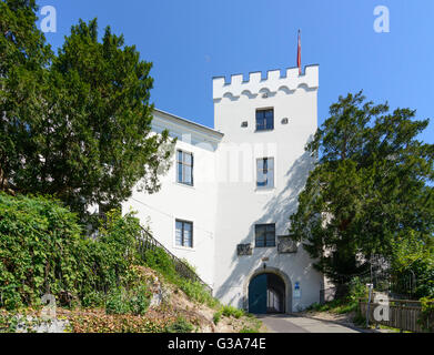 Schloss Ebelsberg, Österreich, Oberösterreich, Oberösterreich, Donau, Linz Stockfoto