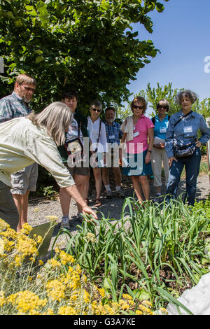 Menschen touring der Gemeinschaft-Bauerngarten Pickering in Issaquah, Washington, USA Stockfoto