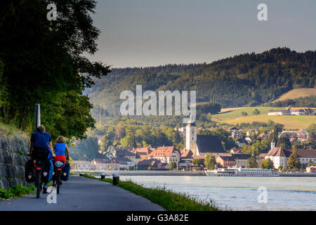 Radfahrer auf dem Donauradweg und Kreuzfahrtschiffe auf der Donau vor Grein, Österreich, Oberösterreich, Oberösterreich, Donau, Gre Stockfoto