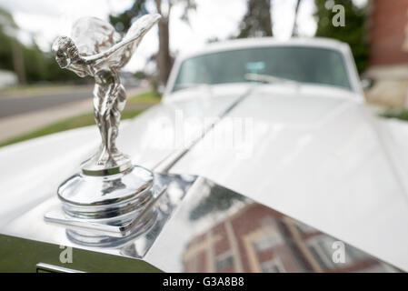 Die Kühlerfigur Spirit of Ecstasy auf einen Rolls-Royce in Union, Oregon. Stockfoto