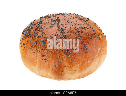 Hausgemachte Hamburgerbrötchen mit Mohn, isoliert auf weiss Stockfoto