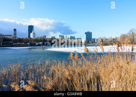 Alte Donau auf Gänsehäufel mit Eis und Schnee, hinter DC Tower 1, UN-Gebäude, IZD Tower, Österreich, Wien, 22., Wien, Wien Stockfoto