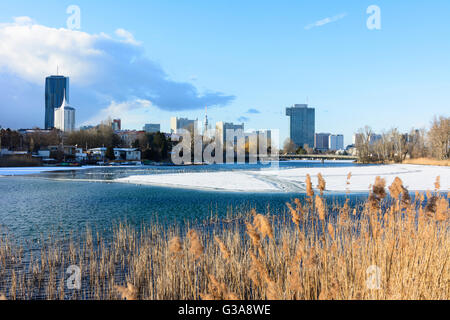 Alte Donau auf Gänsehäufel mit Eis und Schnee, hinter DC Tower 1, UN-Gebäude, IZD Tower, Österreich, Wien, 22., Wien, Wien Stockfoto