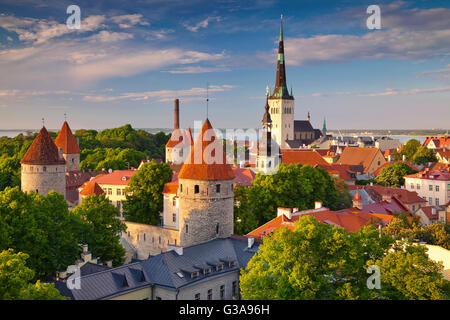 Tallinn. Bild der Altstadt von Tallinn in Estland während des Sonnenuntergangs. Stockfoto