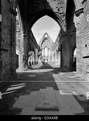 Auf der Suche W an der Kreuzung & Hauptschiff der Kirche Sweetheart Abbey aus dem Altarraum: der Nithsdale aus rotem Sandstein errichtet. 1273 von Lady Dervorgilla gegründet. Stockfoto