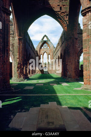 Auf der Suche W an der Kreuzung & Hauptschiff der Kirche Sweetheart Abbey aus dem Altarraum: der Nithsdale aus rotem Sandstein errichtet. 1273 von Lady Dervorgilla gegründet. Stockfoto