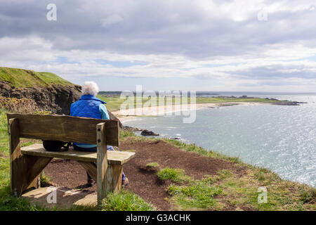 Ältere ältere Frau OAP ruht auf einer Bank in der fife Coastal Path über West Bay in Firth von weiter suchen. Elie und Earlsferry Fife Schottland Großbritannien Großbritannien Stockfoto