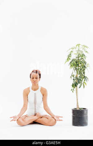 Ziemlich junge Afroamerikanerfrau meditieren und praktizieren von Yoga in der Nähe kleiner Baum im Topf auf weißem Hintergrund Stockfoto