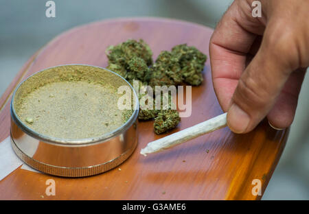 Ein Mann nimmt ein Cannabis-Gelenk in Montreal, August 2014. Foto Graham Hughes/freiberufliche Stockfoto