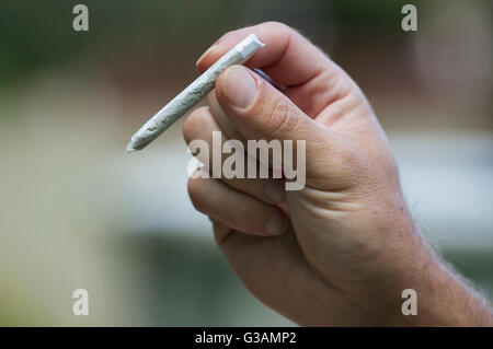 Ein Mann hält ein Cannabis-Gelenk in Montreal, August 2014. Foto Graham Hughes/freiberufliche Stockfoto