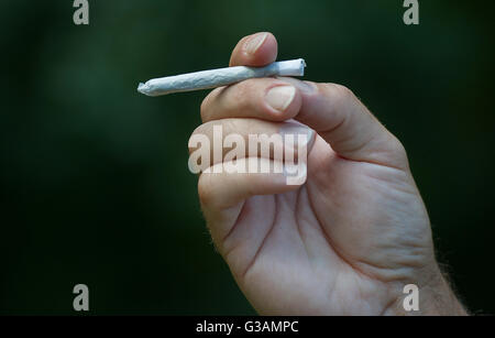 Ein Mann hält ein Cannabis-Gelenk in Montreal, August 2014. Foto Graham Hughes/freiberufliche Stockfoto