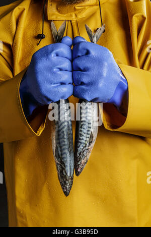 Nahaufnahme des Fischers Händen in blaue Handschuhe, Makrele Fisch hält. Stockfoto
