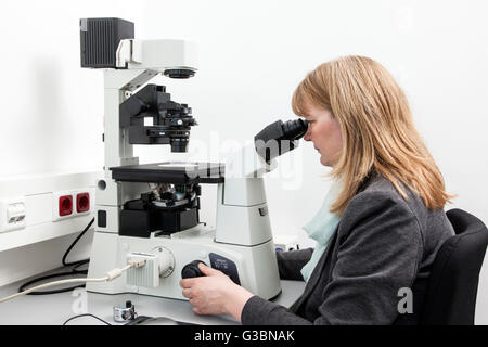 Biologe an der inversen Mikroskop. Stockfoto