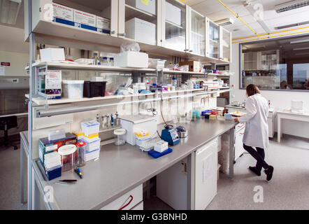 Biologe in der genetischen Labor Stockfoto