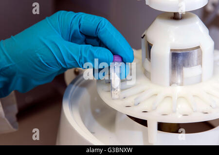 Wissenschaftlicher Mitarbeiter am ein Benchtop-Homogenisator für Zelle lyse von DNA, RNA und Proteine. Stockfoto