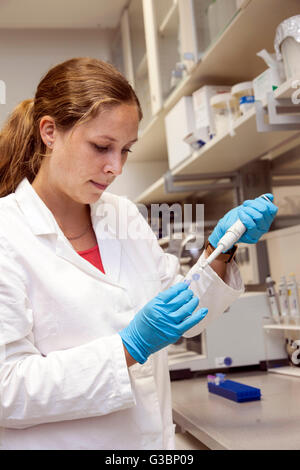 Wissenschaftlicher Mitarbeiter am ein Benchtop-Homogenisator für Zelle lyse von DNA, RNA und Proteine. Stockfoto