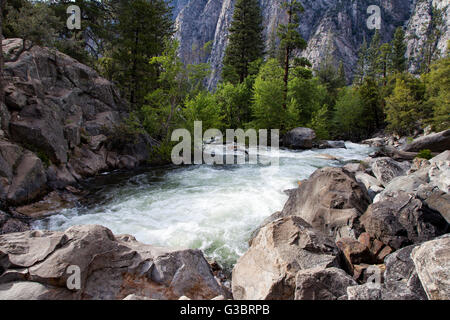 Roaring River fließt in Richtung der South Fork Kings River im Kings Canyon Nationalpark Stockfoto