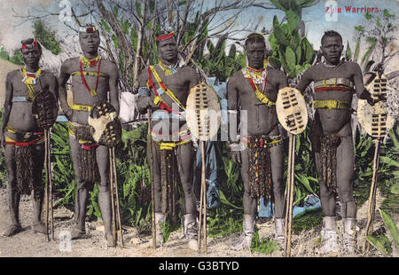 Zulu-Krieger - Südliches Afrika Stockfoto